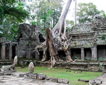 Angkor-Wat-DSC_0614-8x10x73
