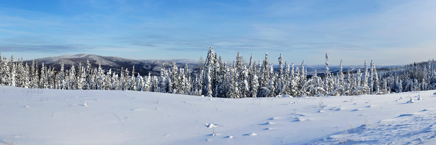 Arctic-Circle-Panorama-12472 Arctic-Circle-Panorama-12472