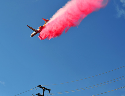 DSC_1336-8511360