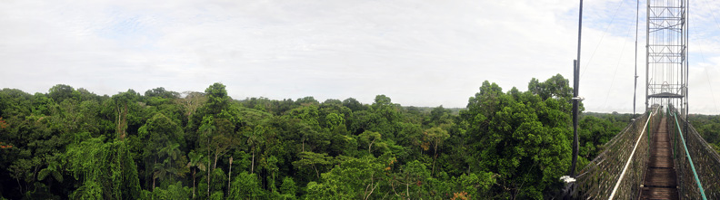 Ecuador-Panoramic-Canopy-Walk-April-2010-11-inches Ecuador-Panoramic-Canopy-Walk-April-2010-11-inches
