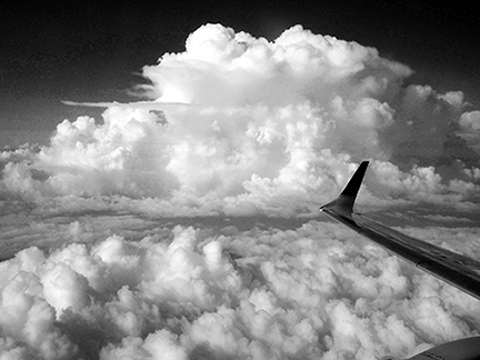 _5020018-1216360-bw