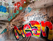 _DSC0161-8511362