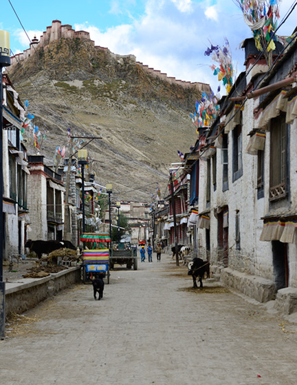 _DSC0344-(2)-8511360