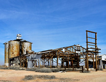 _DSC0388-8511362