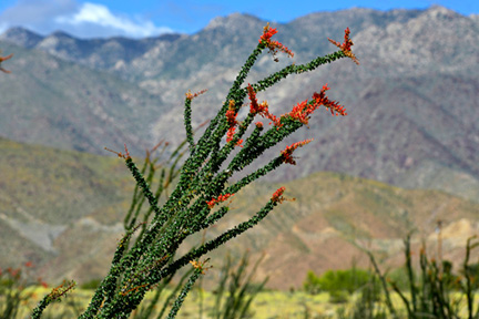 _DSC0949-1218360-v2