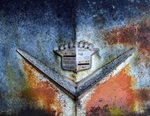 _DSC0979-8511360-v4