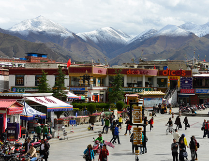 _DSC1247-8511360