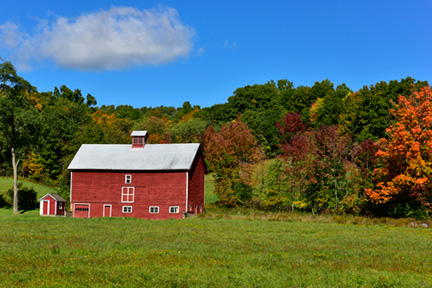 _DSC1545-1218360
