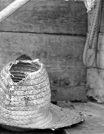 _DSC2137-8511360-BW
