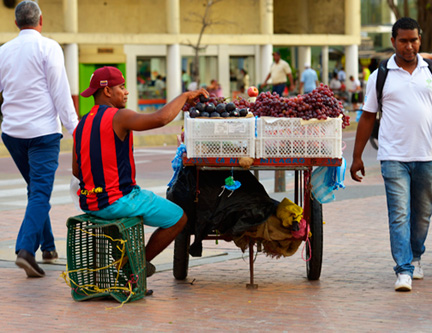 _DSC5185-8511360