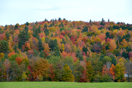 _DSC6421-1218360