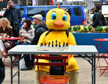 a__DSC2174-851136002