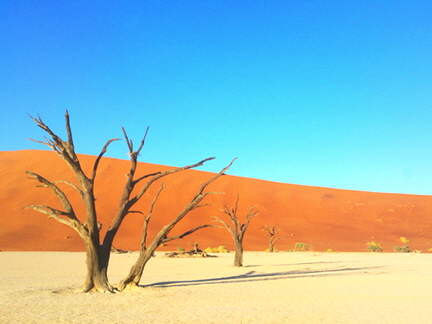 20190202_073152-1216361