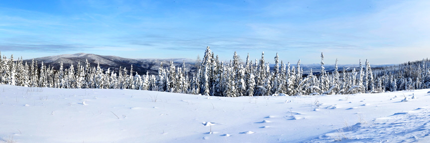 Arctic-Circle-Panorama-12473