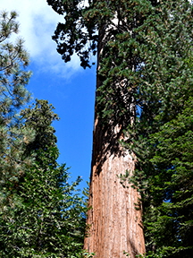 _DSC8960-(2)-3472