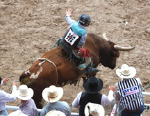 a_rodeo-on-sunday-_218__2