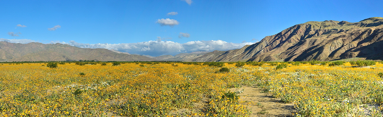 borrego-panorama-6522-6528-18572