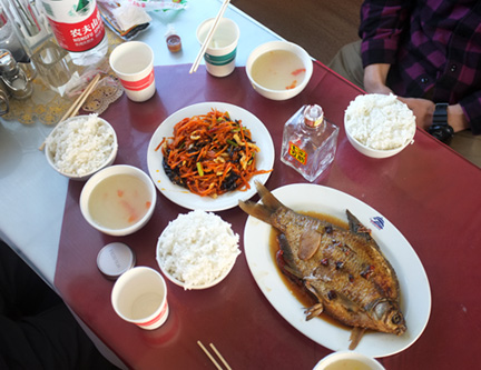 DSCF6303-8511360-v2