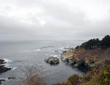 DSC_1688-8511360