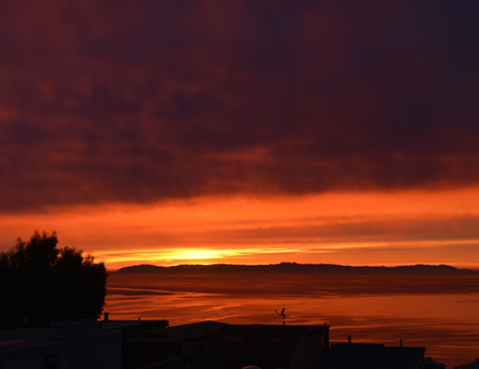 DSC_1861-8511361