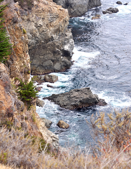 DSC_2297-8511360