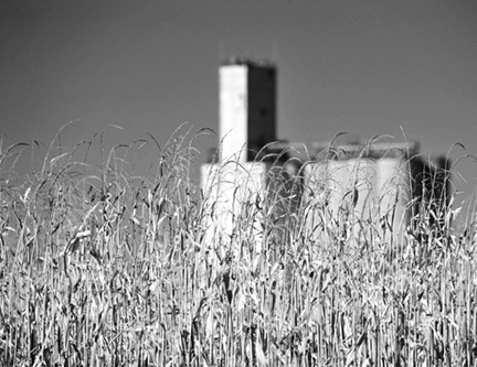 DSC_2349-(2)-8511360-BW