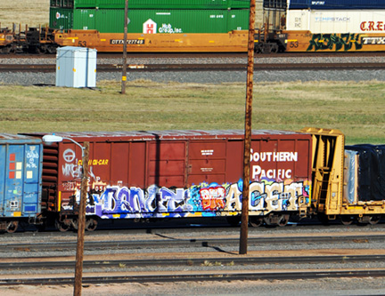 DSC_2540-8511360