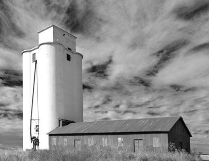 DSC_6253-851360-BW2