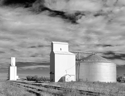 DSC_6299-8511360-BW1