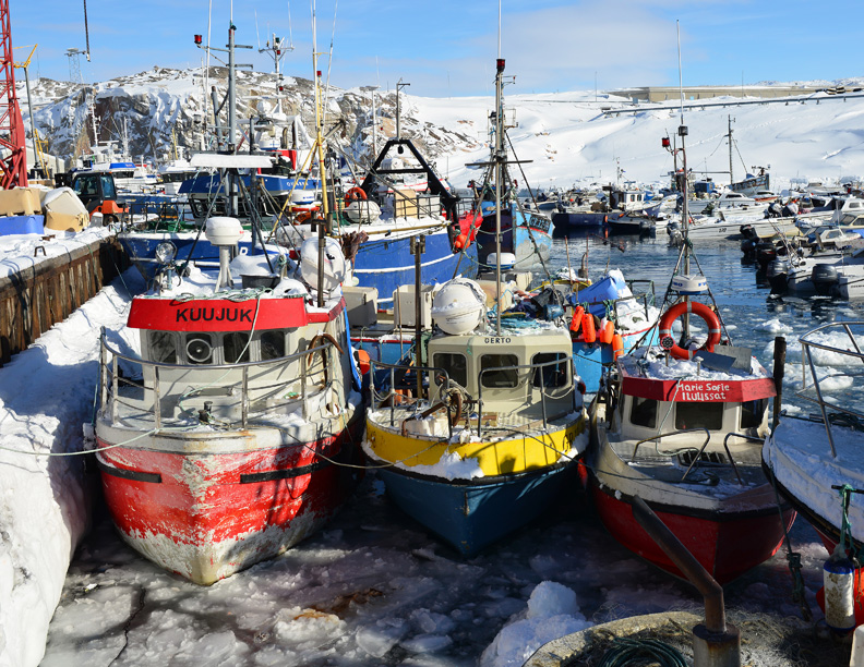 DSC_6971-8511361