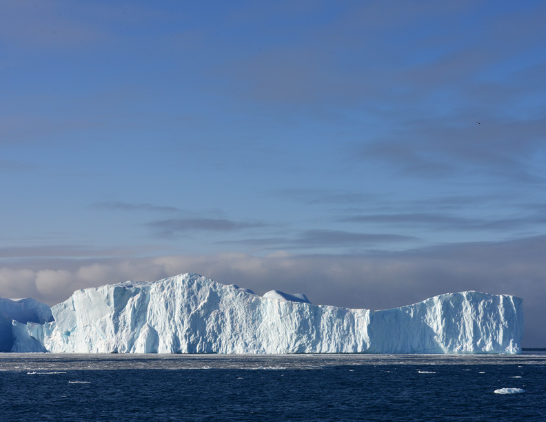 DSC_8231-8511362
