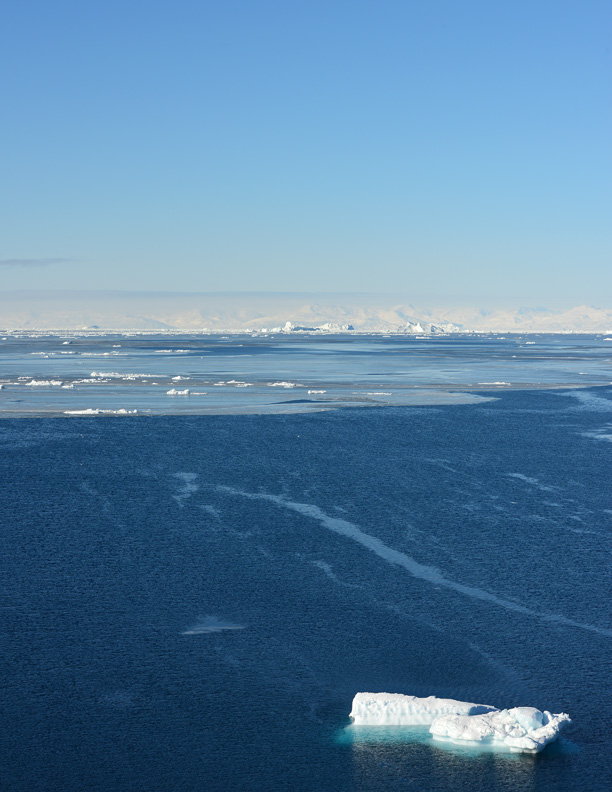 DSC_8681-8511360
