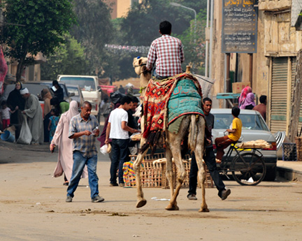 Egypt-D300-70-200-(77)-cairo-street-scene