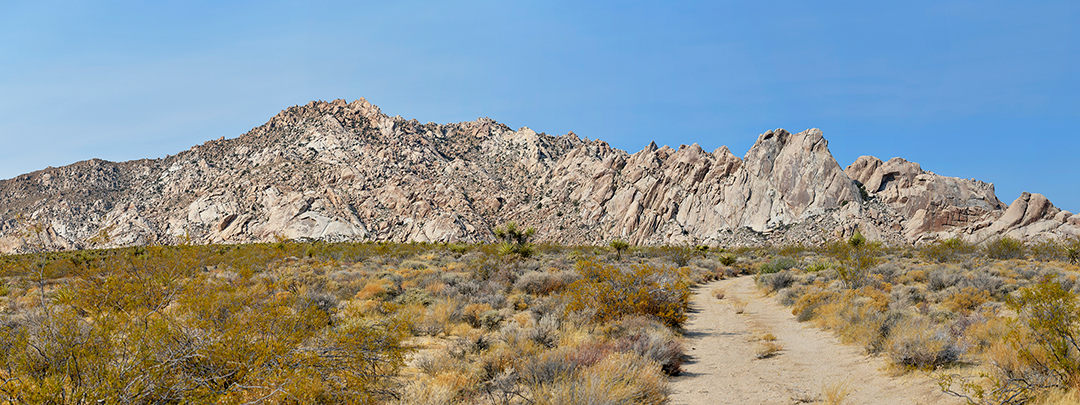 Mojave-Panorama-with-Paul-15572-v2