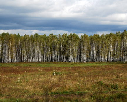 Russia-2-(280)-cropped-auto-contrast