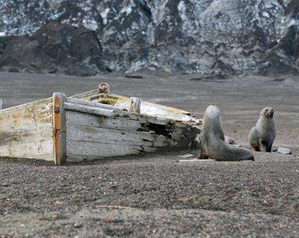 Ushuaia-to-antarctica-1288