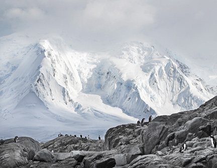 Ushuaia-to-antarctica-and-back-march-2009-(1376)-acs-8511361
