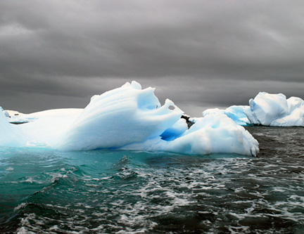 Ushuaia-to-antarctica-and-back-march-2009-(2372)-v2-8511361