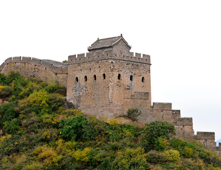 _DSC0835-v2--8511360
