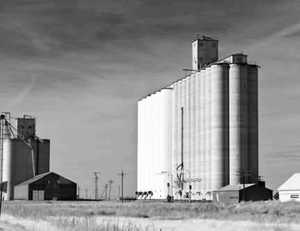 _DSC1333-ska-8511360-BW