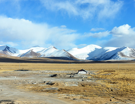 _DSC1607-8511361
