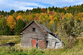 _DSC2193-8511362