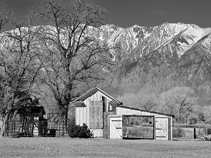 _DSC4214 ska bw 1216360