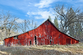 _DSC6128-v2-NS-1216362