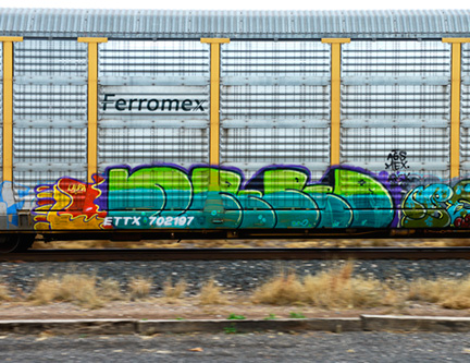 _DSC7243-8511360
