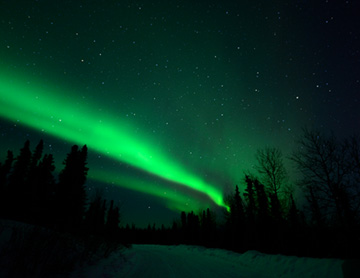 _DSC8101-8511361