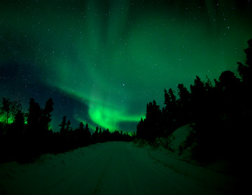 _DSC8142-8511362