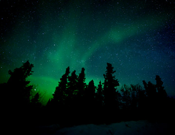 _DSC8170-8511361