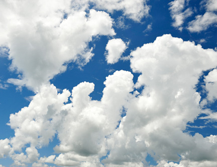 _DSC8872-8511360-1