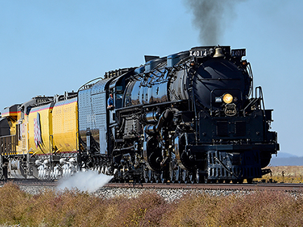_DSC9271-ska-1216360